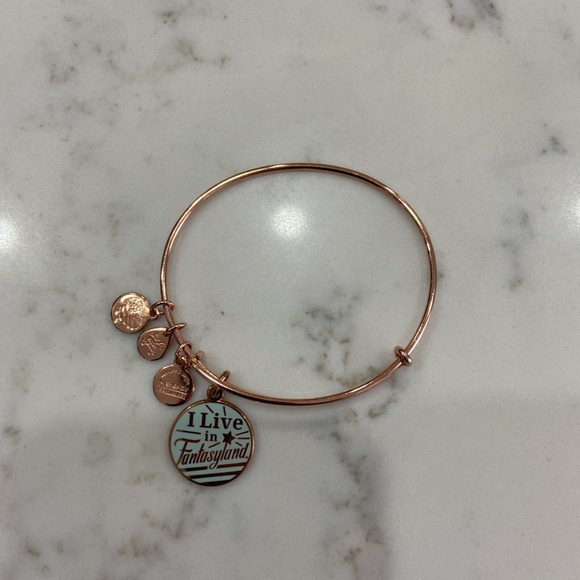 Disney x Alex and Ani // I Live in Fantasy Land Bracelet Set // Rose Gold - Picture 6 of 10